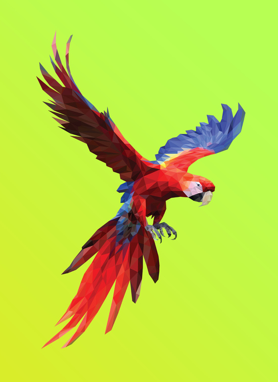 Poly Macaw by Breno Bitencourt